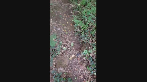 publicexib1  31-07-2023 Recorded Video sexymale