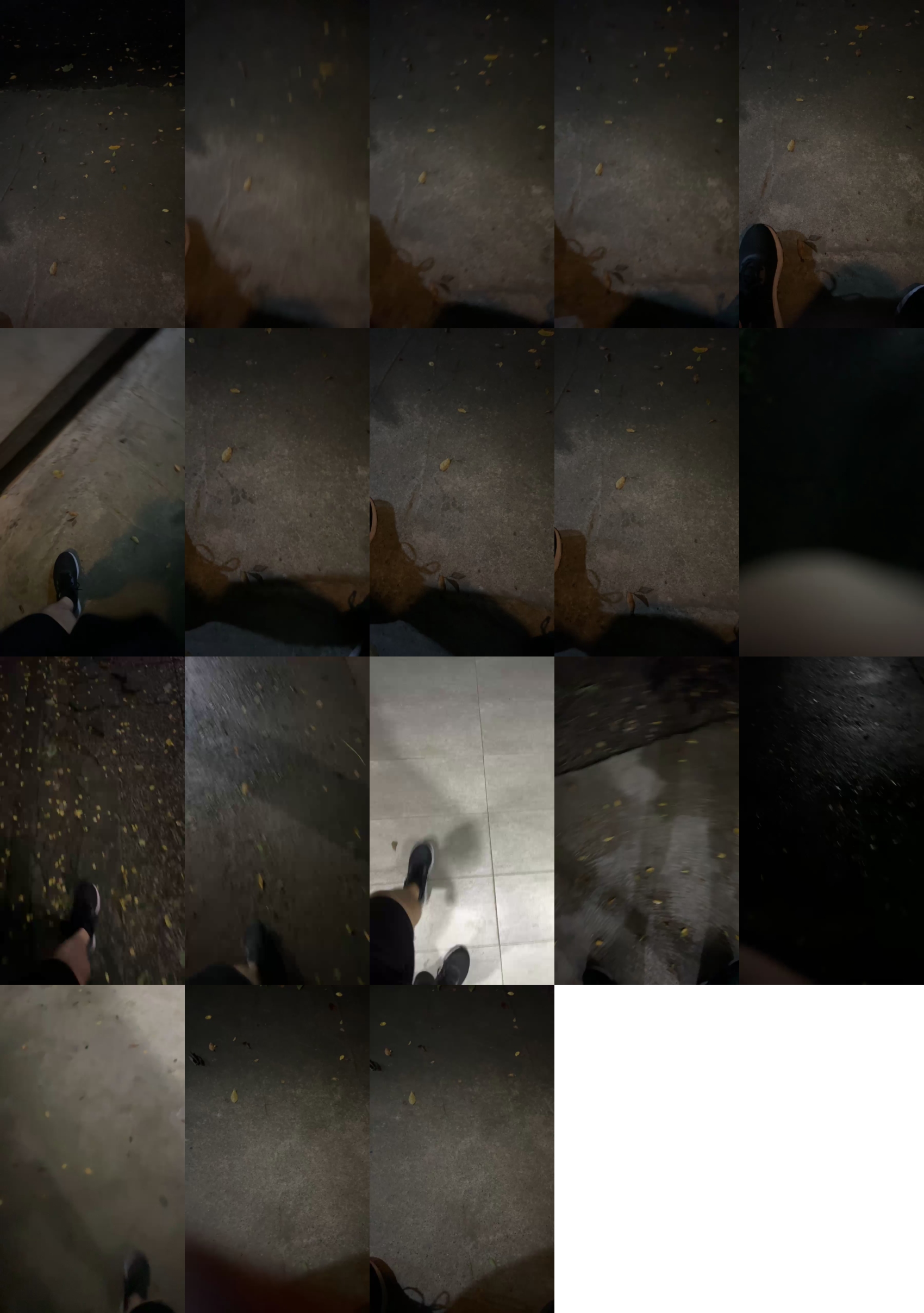 taiwun2  30-07-2023 Recorded Video Ass