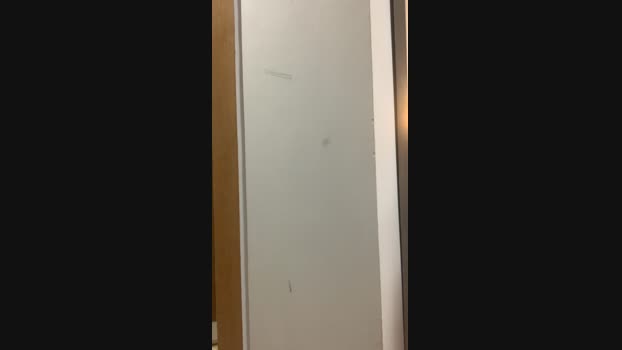 trunky_boi  30-07-2023 Recorded Video toy