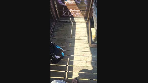 6Q87  01-08-2023 Recorded Video analtoy