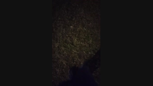 Chocolatespzn2  31-07-2023 Recorded Video sexybody