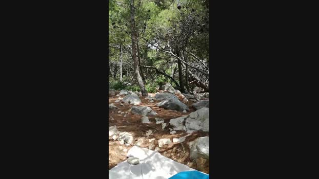 RaHa6  01-08-2023 Recorded Video Download