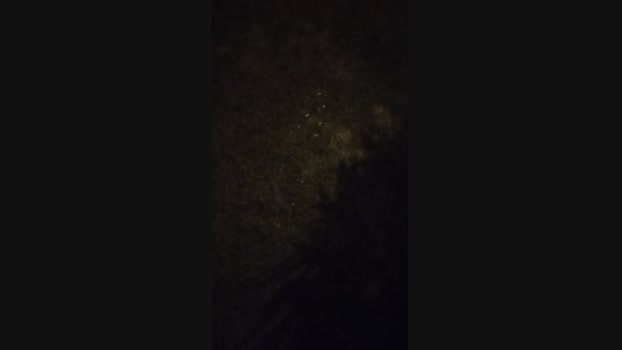 Chocolatespzn2  01-08-2023 Recorded Video hot