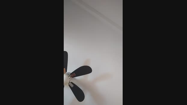 rompecalzoncil2  03-08-2023 Recorded Video amateur