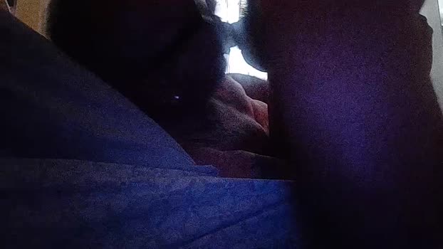 sesso192  03-08-2023 Recorded Video Video