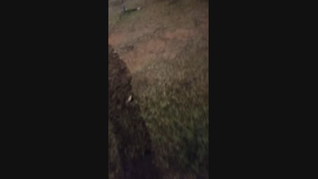Chocolatespzn2  03-08-2023 Recorded Video fingers
