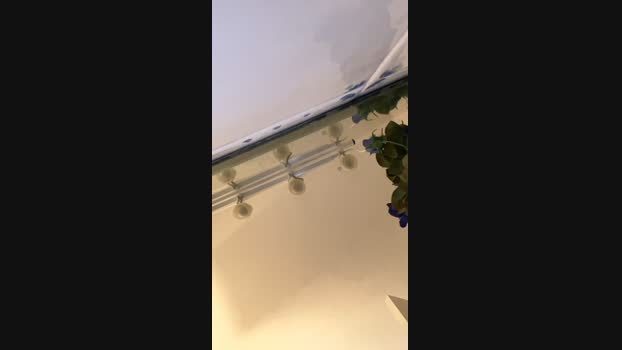 brasileo69fun  04-08-2023 Recorded Video ass