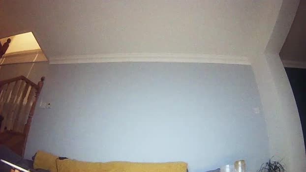 englishladxxx  03-08-2023 Recorded Video cute