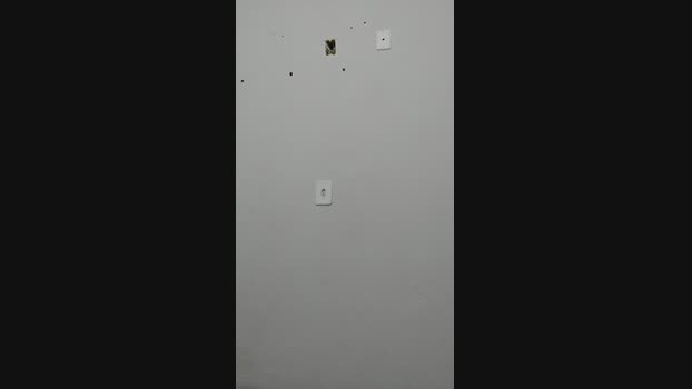 Alec_Martins  04-08-2023 Recorded Video orgasm