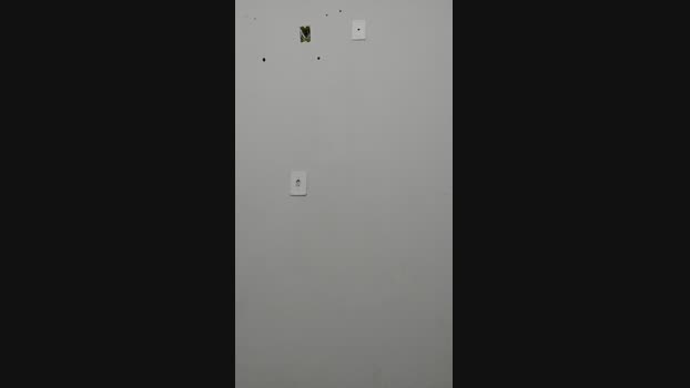 Alec_Martins  04-08-2023 Recorded Video dirty