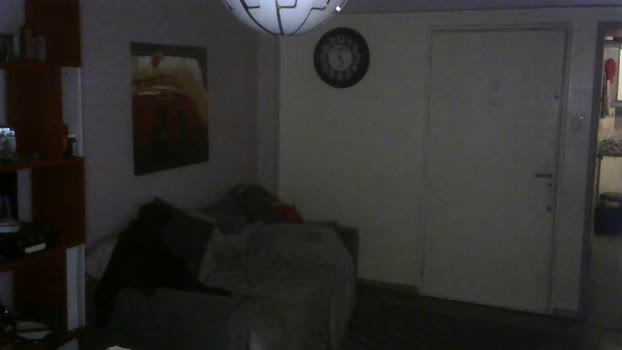 Asocaloides2  06-08-2023 Recorded Video lovense