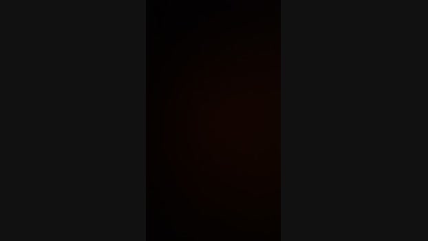 Guillaumecam