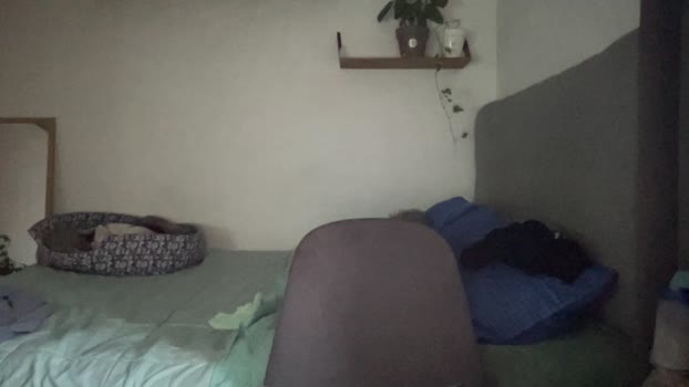 PELAO3GP  06-08-2023 Recorded Video love