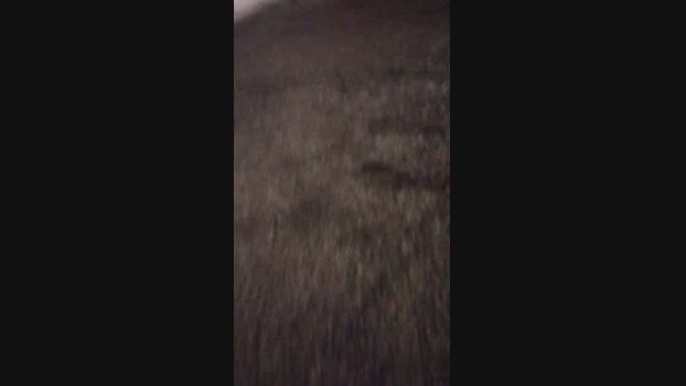 Chocolatespzn2  07-08-2023 Recorded Video sweet