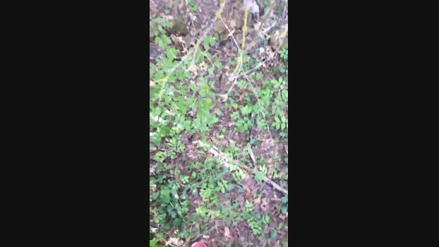 DePamplona  08-08-2023 Recorded Video horny