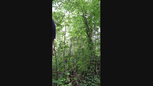 Doperman  08-08-2023 Recorded Video suck