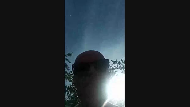 cucciolo5  09-08-2023 Recorded Video moan