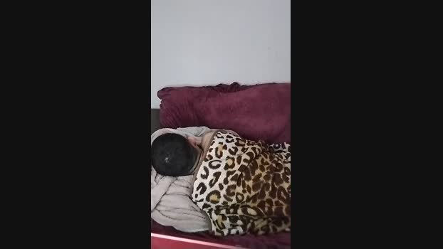 jefersonmuller  08-08-2023 Recorded Video toy