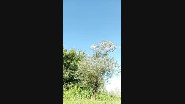 hmefroumyahooc5  09-08-2023 Recorded Video skinny