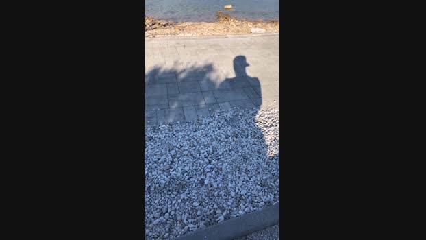 leo20_1_1988  09-08-2023 Recorded Video strip