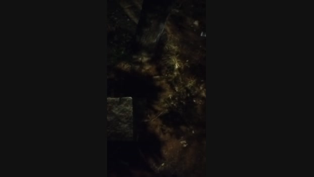 Chocolatespzn2  10-08-2023 Recorded Video sexy