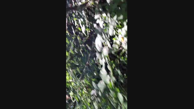 Doperman  10-08-2023 Recorded Video playtime