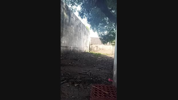 MONSTER_MEN  11-08-2023 Recorded Video hard