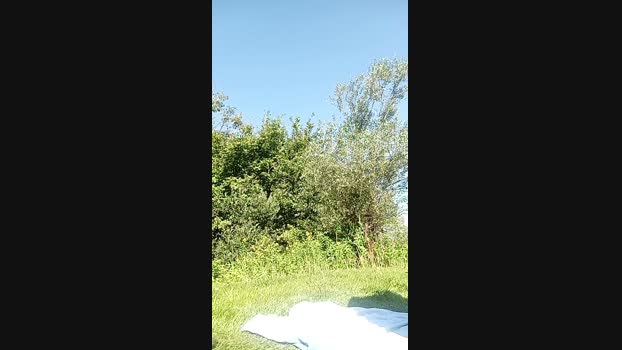 hmefroumyahooc5  10-08-2023 Recorded Video analtoy