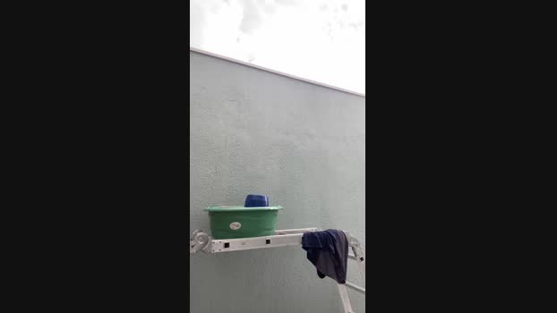 jhonnybravo19  10-08-2023 Recorded Video naked
