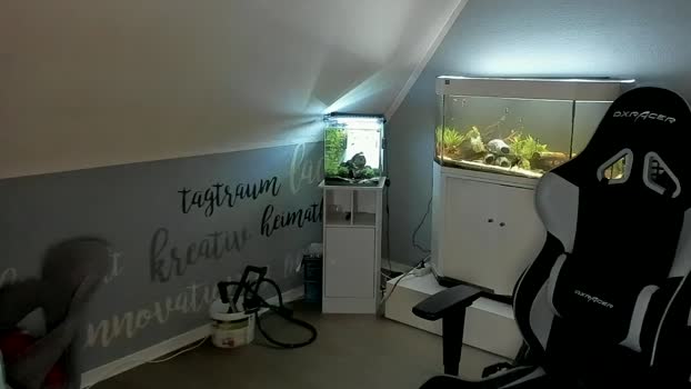 ronhill13  10-08-2023 Recorded Video analtoy