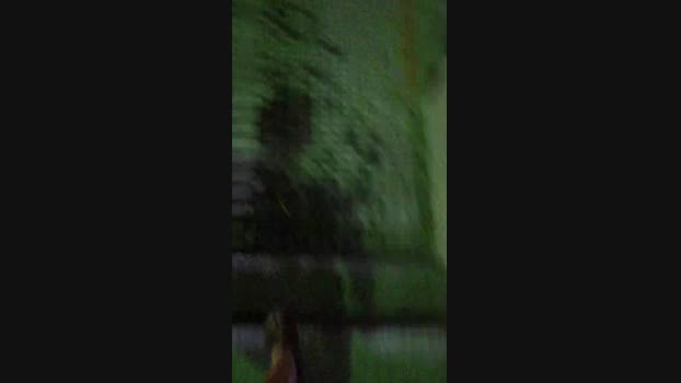 tarcton78  11-08-2023 Recorded Video bigtoys