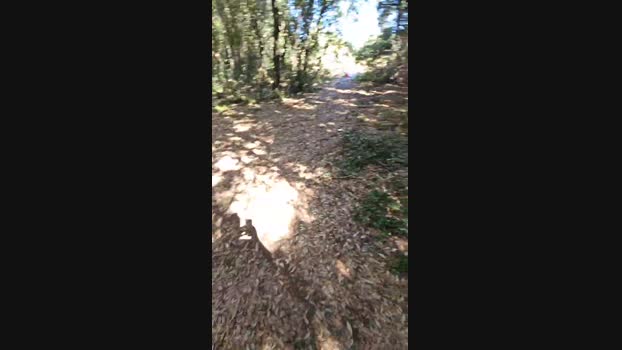 HotPanter82  13-08-2023 Recorded Video big