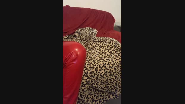 Myky1234  12-08-2023 Recorded Video jerkoff