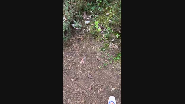 benoit68hot  13-08-2023 Recorded Video bigass