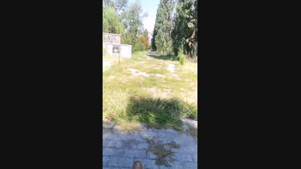 giorgio526  13-08-2023 Recorded Video orgasm