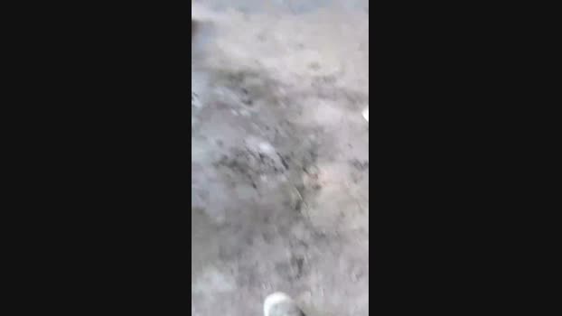 pochatts  12-08-2023 Recorded Video cute