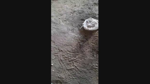 pochatts  12-08-2023 Recorded Video fuckface