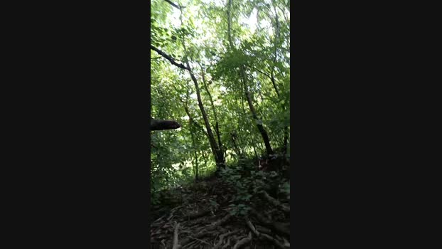 thingsbums  13-08-2023 Recorded Video fuckhard