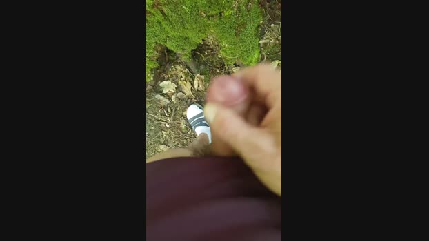 Minipic  14-08-2023 Recorded Video skinny