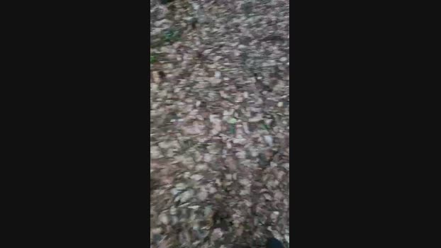 Outdoorgeil1  13-08-2023 Recorded Video fingers