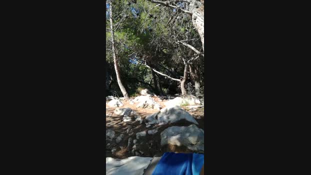 RaHa6  14-08-2023 Recorded Video Show