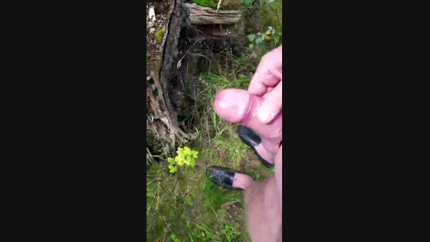 elblover  14-08-2023 Recorded Video jerkoff