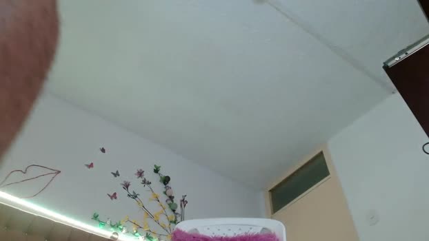 brad_walker  14-08-2023 Recorded Video analtoy