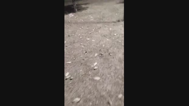 Chocolatespzn2  15-08-2023 Recorded Video Cam