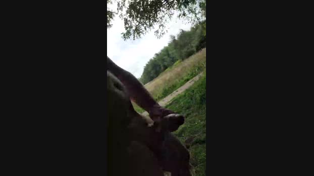 Cockandsperm  16-08-2023 Recorded Video hot