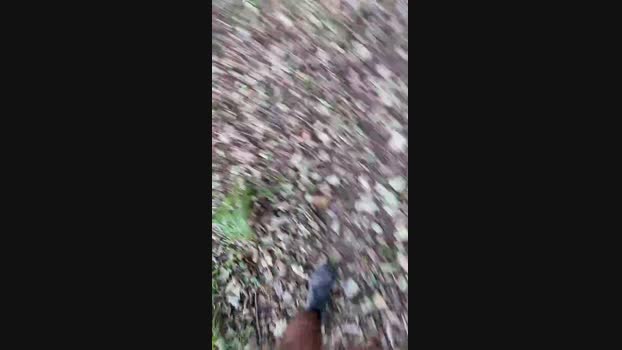 europeo2323  15-08-2023 Recorded Video show