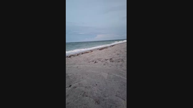 underwatermast1  15-08-2023 Recorded Video beautiful