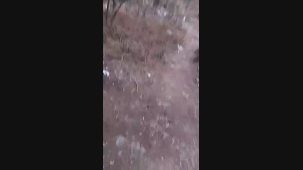 pathpeter  16-08-2023 Recorded Video cute
