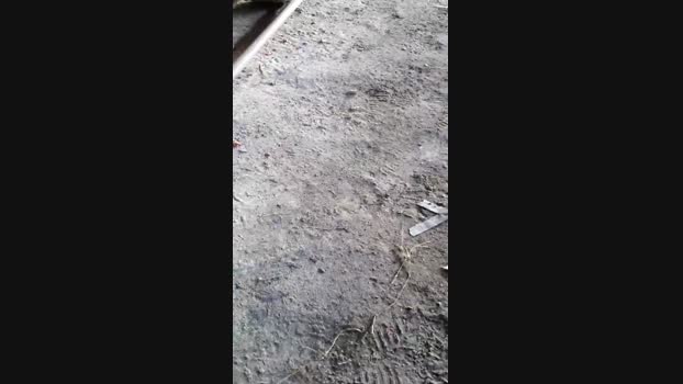 pochatts  17-08-2023 Recorded Video twink