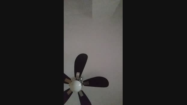 rompecalzoncil2  16-08-2023 Recorded Video love